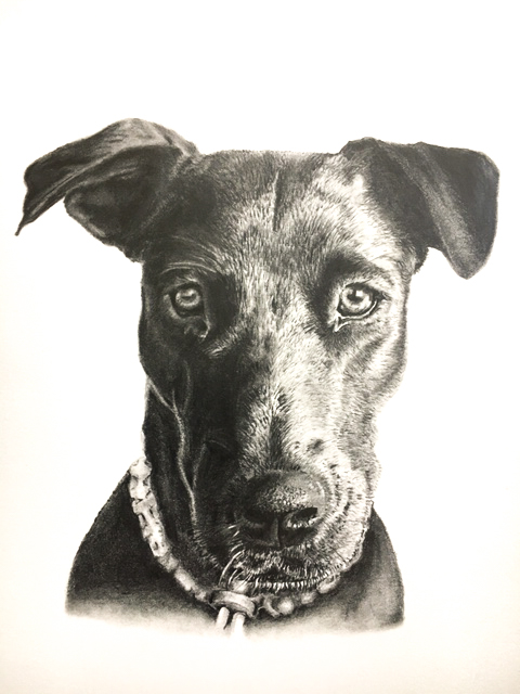 Esther Portretten hond 1 wit