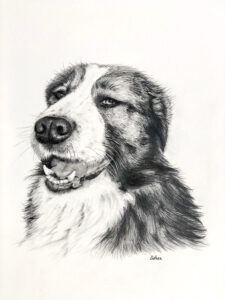 Esther Portretten hond 3 wit