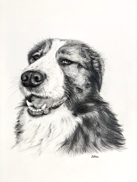 Esther Portretten hond 3 wit