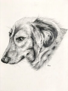 Esther Portretten hond 5 wit