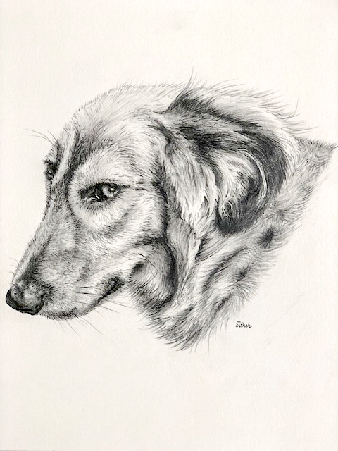 Esther Portretten hond 5 wit