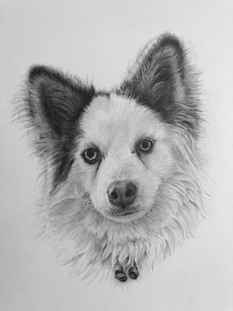 Esther Portretten hond 6 wit